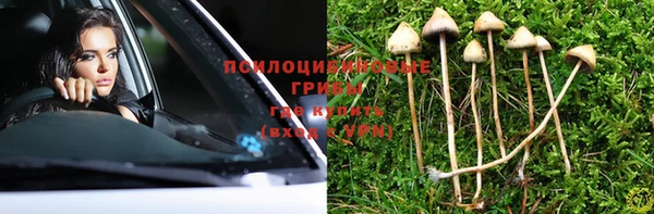 хмурый Абинск